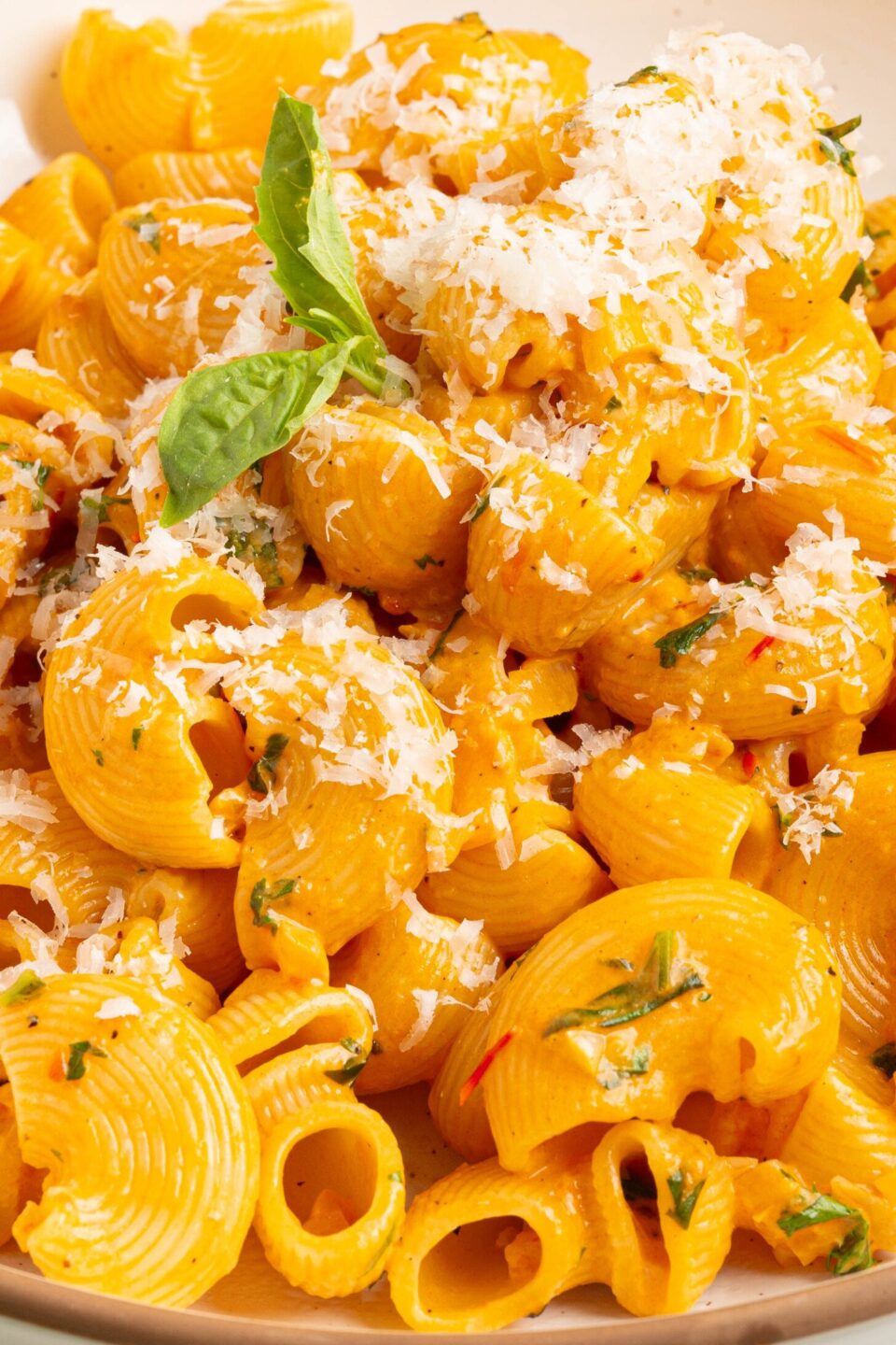 harissa pasta in a bowl