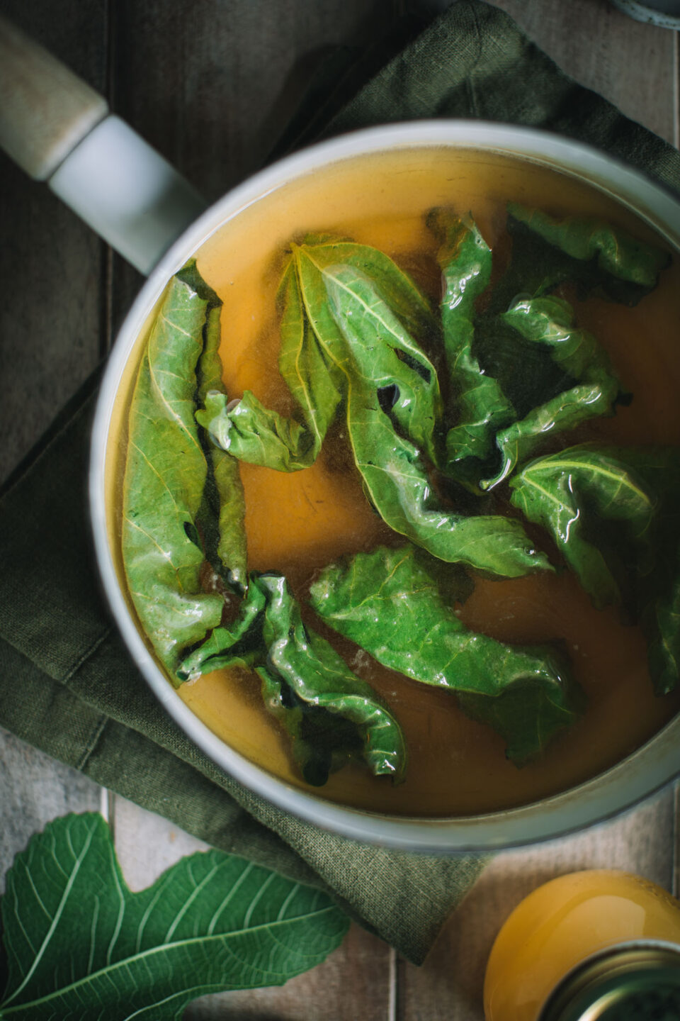 Fig Leaves by Eva Kosmas Flores