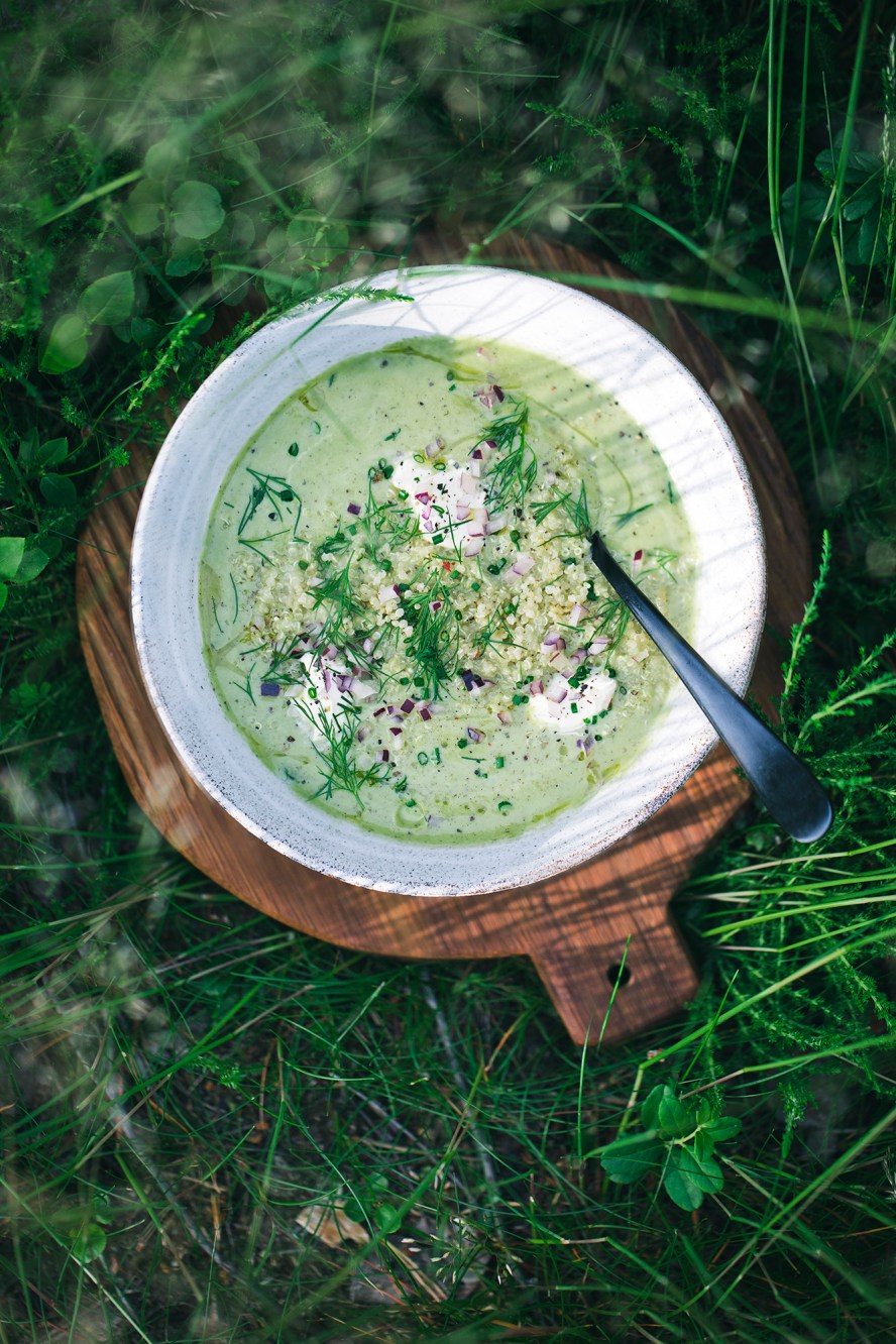 Summer Zucchini Soup