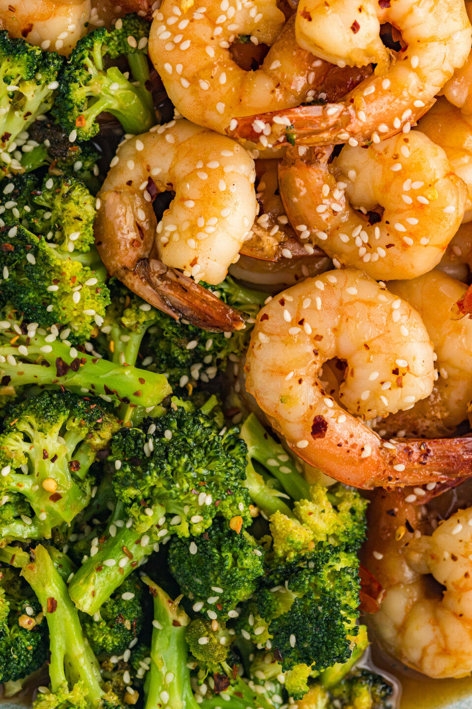 Shrimp and Broccoli