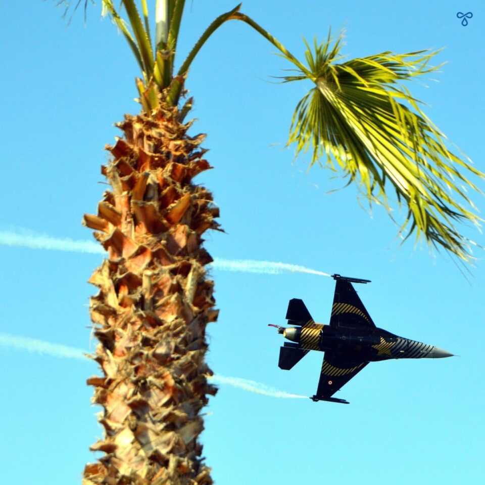 Soloturk jet flies past a palm tree.