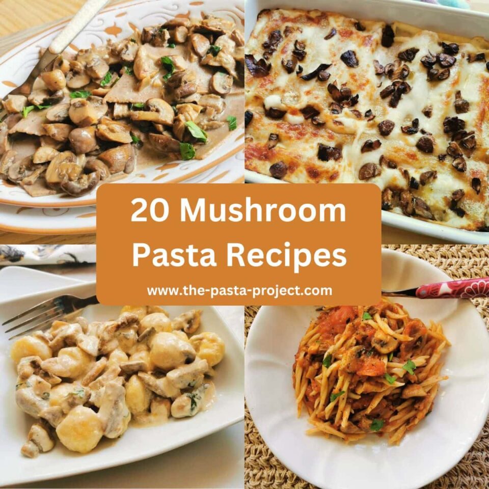 20 Mushroom Pasta Recipes from Italy