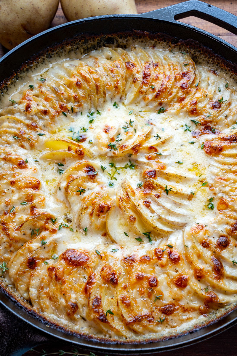 Potato Gratin