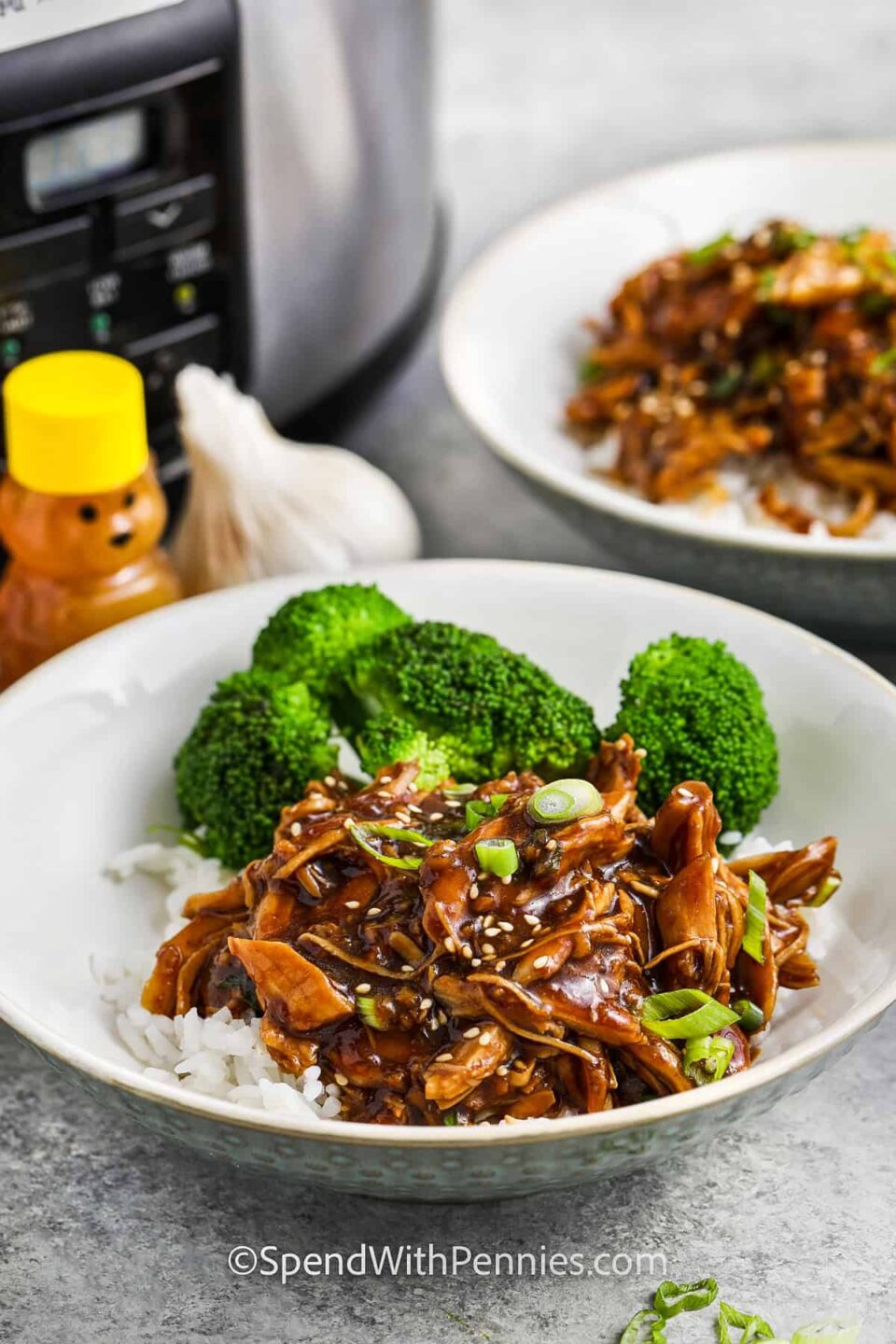 plated Slow Cooker Honey Garlic Chicken with rice and broccoli