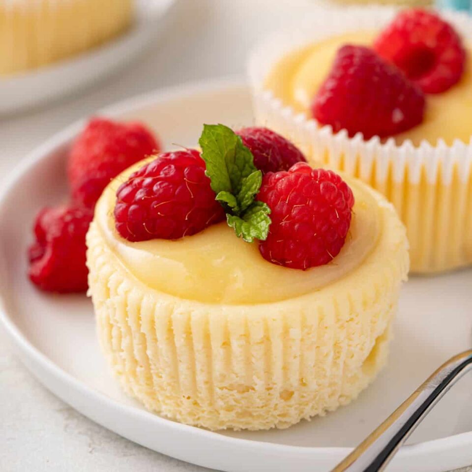 Close up of fruit tarts on a white platter.