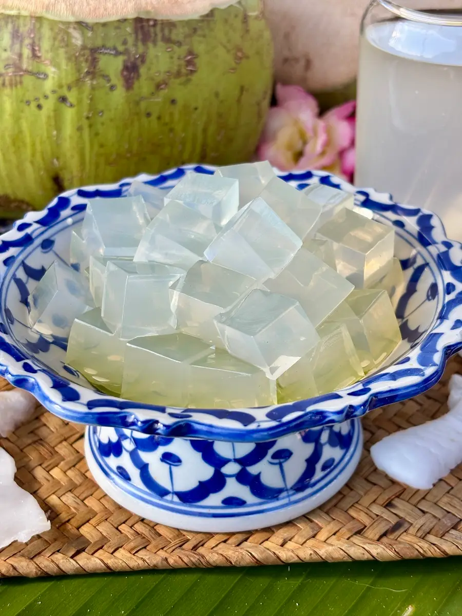 Easy Coconut Jelly Cubes (Only 3 Ingredients!)